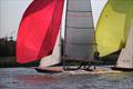 Norfolk Punts 'Greylag' and 'Goosander' - Barton Regatta © Rose Pickard