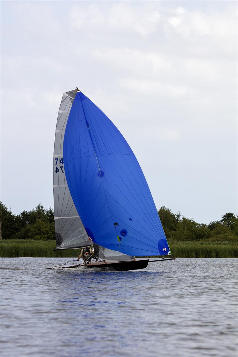 Norfolk Punt Championships 2024 at Barton Broad photo copyright Robin Myerscough taken at Norfolk Punt Club and featuring the Norfolk Punt class