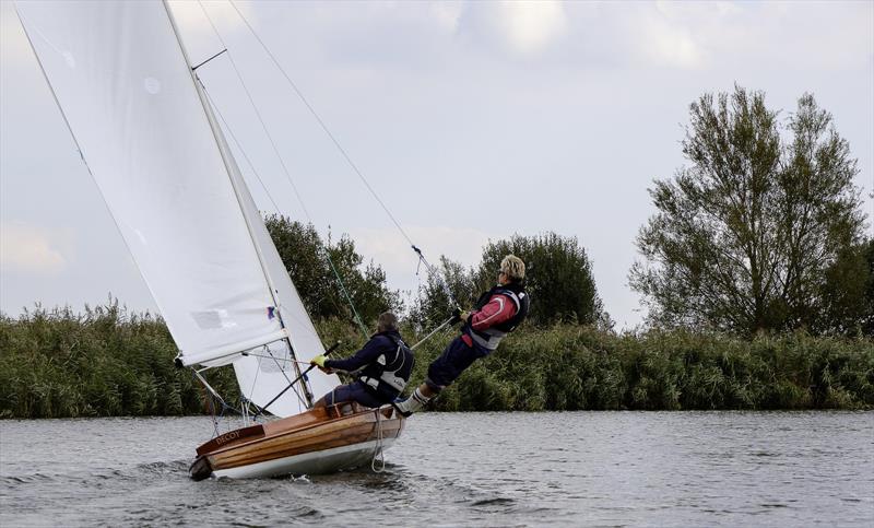 Decoy during the Norfolk Punt Athene Cup - photo © Robin Myerscroft