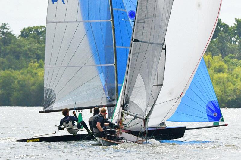Norfolk Punt National Championships 2025 on Barton Broad - photo © David Edmund Jones
