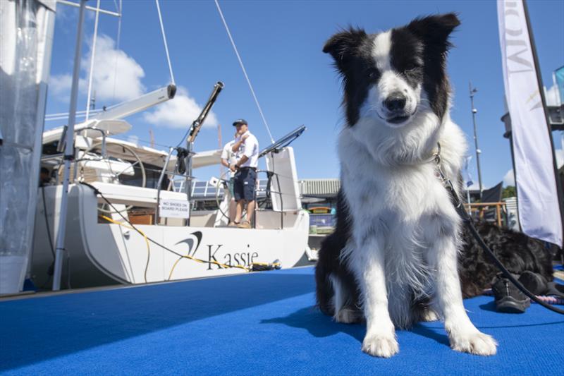 Auckland Boat Show - Day 3 - Viaduct Event Centre - Jellicoe Harbour - Auckland - March 16-, 2024 - photo © Chris Cameron