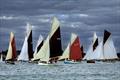 Some of the large Smack class coming up to start - Mersea Week 2024 © Chrissie Westgate