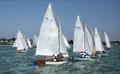 The Dinghy Fleet - 51st Mersea Week © Chrissie Westgate