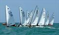OK Dinghies racing February 2026; Thailand Open won by 6 X OK world champion Nick Craig, but THA 444 won the class in the Varuna Masters &copy; Henry Weidmann