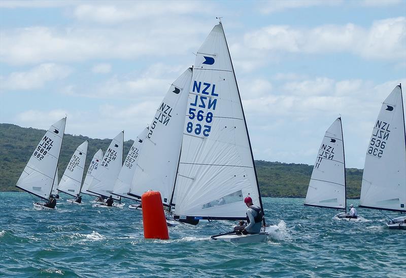 OK NZ Nationals - Wakatere BC - January 6-8, 2026 photo copyright Nigel Price taken at Wakatere Boating Club and featuring the OK class