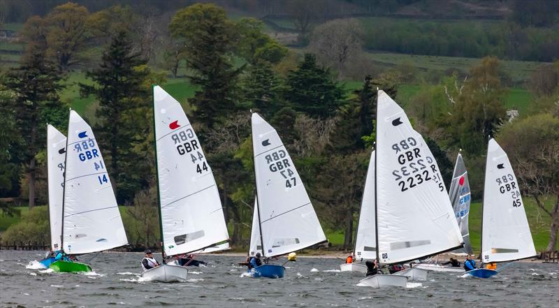 Daffodil Regatta 2025 - photo © Tim Olin / www.olinphoto.co.uk