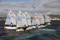 34th Palamós Optimist Trophy © Alfred Farré