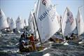 34th Palamós Optimist Trophy © Alfred Farré