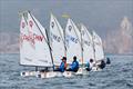 Sun Hung Kai & Co. Hong Kong Race Week © RHKYC/ Guy Nowell