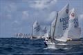 The USA's Grant Chin leads the pack at the 2024 International Optimist Regatta © Matias Capizzano