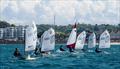 Spring Regatta Optimists © Simon Ropert