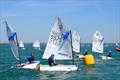 Magic Marine UK Optimist open meeting at Hayling Island - Coached fleet © TeamHISC