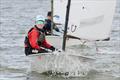 Gill Optimist Early Summer Championships at Brightlingsea © Paul Sanwell / OPP