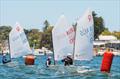 Royal Freshwater Bay Yacht Club International Classes Regatta © Tom Hodge Media