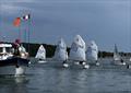 Chichester Yacht Club Optimist Open © Lottie Cheeseman