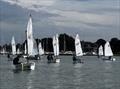 Chichester Yacht Club Optimist Open © Lottie Cheeseman