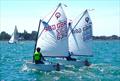 Tom Mckenna and Layla Griffiths battle it out - Optimist Red Ribbon Regatta at Hayling Island © Melvyn Cooper