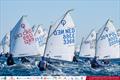 Euromarina Optimist Torrevieja © Pep Portas / RCN Torrevieja