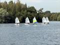 Back to School ROTTERs at Ripon Sailing Club © John Young