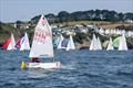 Fowey Royal Sailing Regatta 2025 © Paul Gibbins Photography