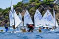  An international fleet sails in the TOTE Clinic &copy; Kendall Hebert Photography