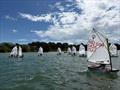Coached Regatta - 2026 Warsash Optimist Open &copy; Martin Livingston