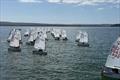 Main Fleet - Optimist open meeting at Parkstone &copy; Mark Norton