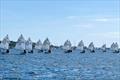 Racing Regatta - Optimist open meeting at Parkstone &copy; Rob Clark
