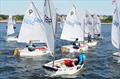 Coached Regatta - Optimist open meeting at Parkstone &copy; Michael Crane