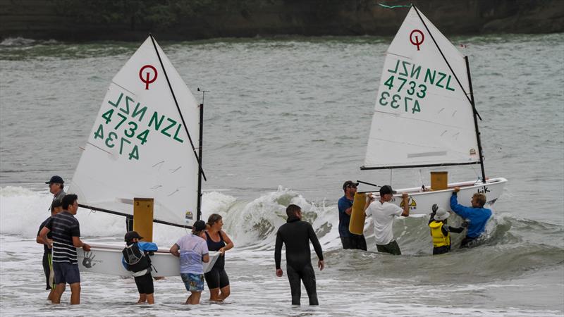 Wakatere BC - Optimist and Starling Auckland - Day 2 - February 6, 2022, - photo © Richard Gladwell - Sail-World.com/nz