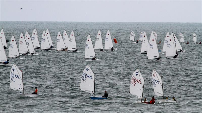 Optimist and Starling Auckland - Wakatere BC - February 7, 2022  - photo © Richard Gladwell - Sail-World.com/nz