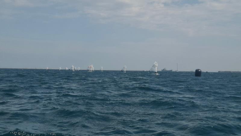 Black Fleet Optimist - South and Southwest WPNSA Regional Junior Championships 2025 - photo © Nick Bubb