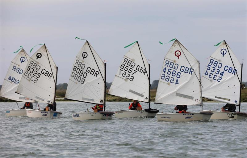 Blackwater SC Cadet Week photo copyright Anna Lau taken at Blackwater Sailing Club and featuring the Optimist class