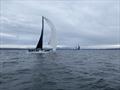 The start of the wet and wild 2024 Smith Island Race © David Schmidt