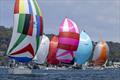 Colour from the regatta - Pantaenius Pittwater Regatta 2025 © Andrea Francolini