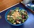 The baby carrots might have frozen solid, but fresh salads were a more successful venture © David Schmidt