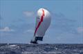Transpacific Yacht Race &copy; Stephen R Cloutier