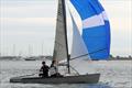 The class-owned boat in the Craftinsure Osprey UK Nationals at Poole © Mike Millard