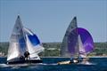 Osprey Open & Panmorra Cup at Mount's Bay © Dan Vincent