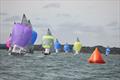 Poole Osprey Open © Elysia Ehrhart