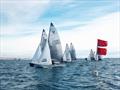 Day two startline during the Castle Cove Osprey Open © Richard Bowers