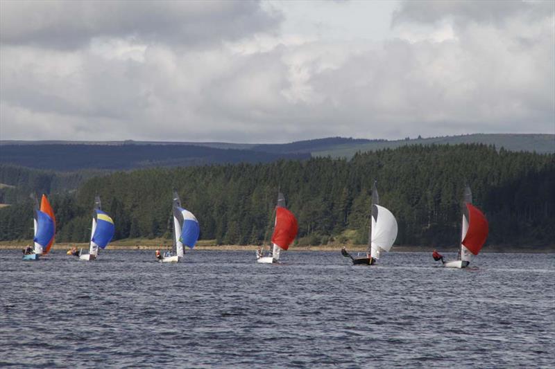 Ospreys at Kielder Water - photo © Angela Mamwell