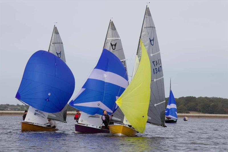 Blithfield Osprey Open - photo © Alastair Reid