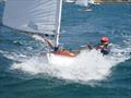 Sean Kensington - winner of the 2019 Tauranga Cup for P class - Evans Yacht & Motor Boat Club © Kohimaramara YC