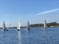 Winter sailing at Northampton Sailing Club © Maria E Franco