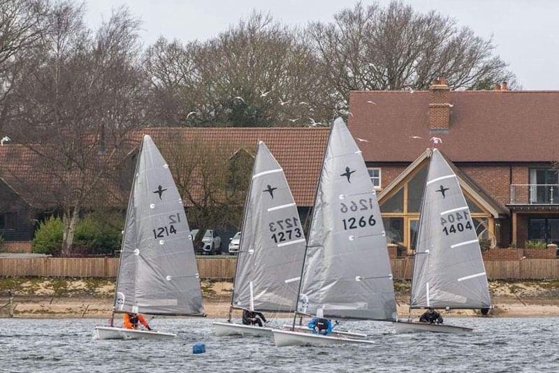 Phantom Open Meeting at Ardleigh photo copyright Lee Kelly taken at Ardleigh Sailing Club and featuring the Phantom class