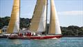 Steinlager 2 - 2024 PIC Coastal Classic - October 25, 2024 © Richard Gladwell - Sail-World.com/nz