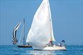Shannon - Edgartown Race Weekend © Miste Photography