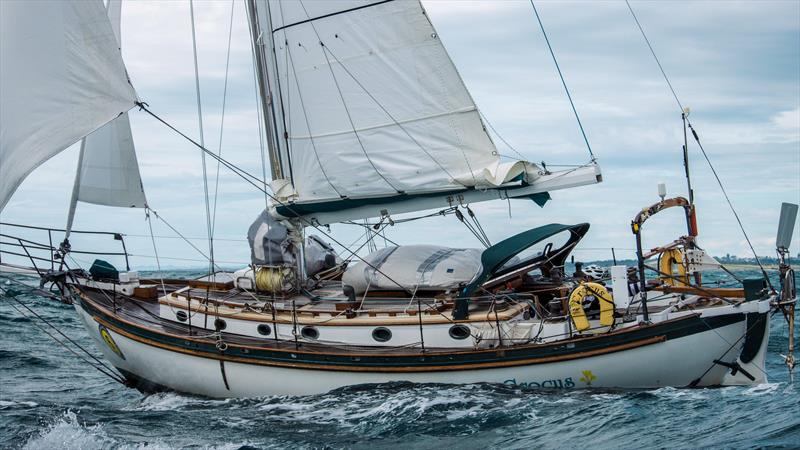 Start Ray White Solo Tasman Yacht Challenge - New Plymouth - April 9, 2023 - photo © New Plymouth YC