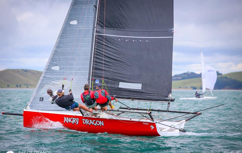 Day 2 - Bay of Islands Sailing Week 2025 - January 23, 2025  - photo © Jacob Fewtrell Media